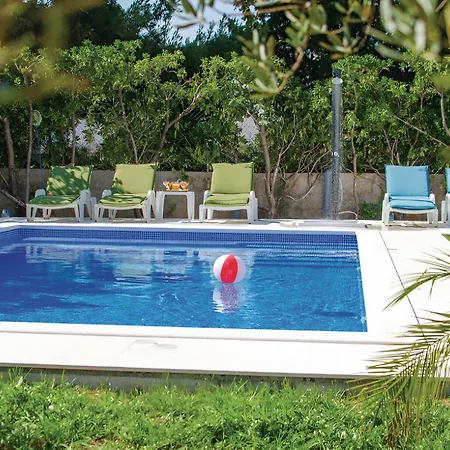 Olivenbaum Vikendica *