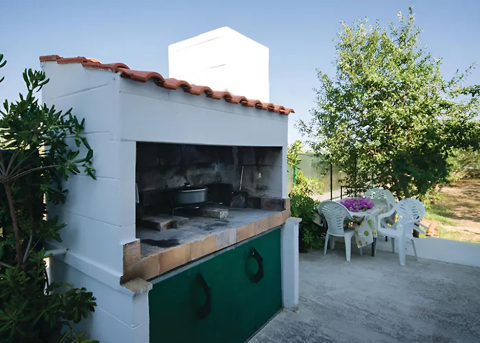 Olivenbaum Kaštel Štafilić